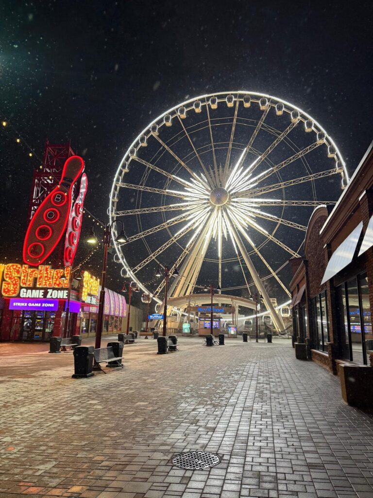 At Rise Above Consulting